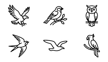 Fototapeta premium Minimalist Bird Icons Set, Vector Graphics Collection, Simple Ornithology Illustrations