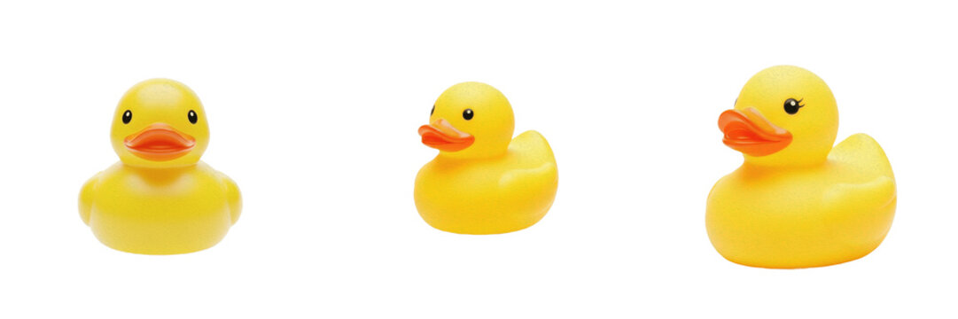 Set and collection of cute playful yellow rubber duck baby bath toy isolated on white transparent png background