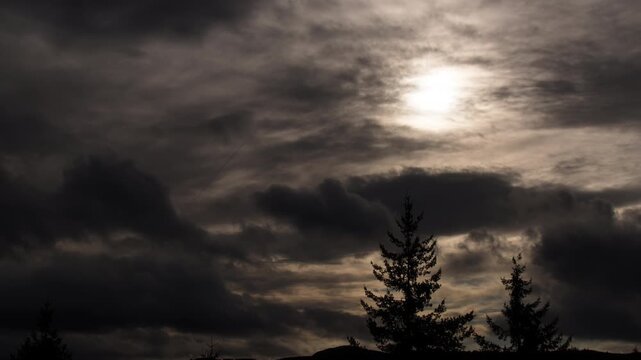 Sun shining through golden sunrise clouds above trees silhouette