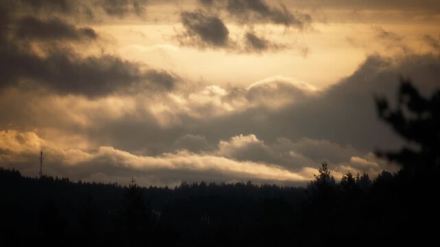 Dramatic golden sunrise clouds over a dark forest silhouette