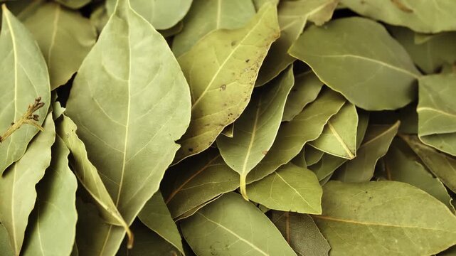 Top-down rotating green bay leaves with subtle speckling on dark base