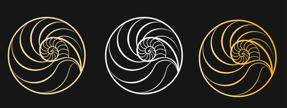 Golden Ratio Spiral Design Elements Vector Set