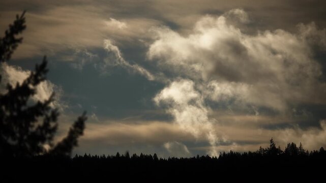 Dramatic clouds moving in the morning sky above tree line silhouette