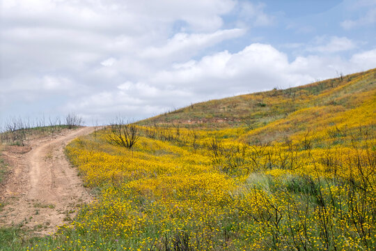 Fr&uuml;hlingslandschaft im Hinterland der Algave, Portugal