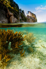 View of coral reef underneath waterline and cliff caves above waterline in Caribbean Sea © Pete Niesen Photo