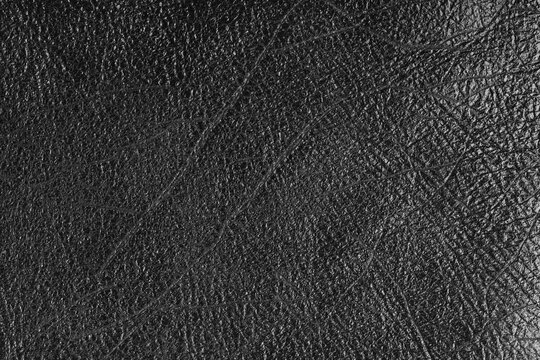 Closeup, macro of glossy gray genuine leather texture with visible wrinkles and natural grain, rich abstract background for design. Surface with metallic effect, upholstery material, leatherette