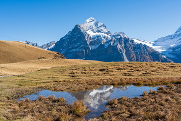 Obraz premium Snow capped Wetterhorn and Schreckhorn mountain peaks reflected symmetrically in small trail water puddle in autumn. Grindelwald First, Switzerland.