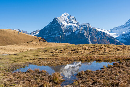 Snow capped Wetterhorn and Schreckhorn mountain peaks reflected symmetrically in small trail water puddle in autumn. Grindelwald First, Switzerland.