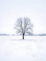 Fototapeta premium Lone tree in flat white winter field
