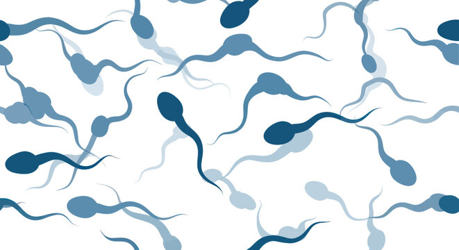 Sperm Cells Swimming