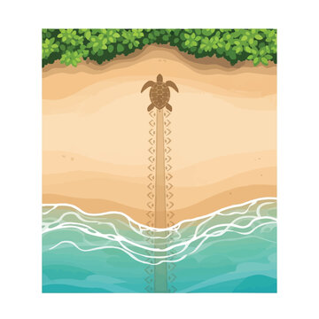 Top view of a sea turtle crawling on a tropical sandy beach leaving tracks, vector illustration of marine life and nesting journey.