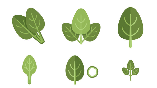 Collection of stylized green spinach leaves and sprigs on a white background