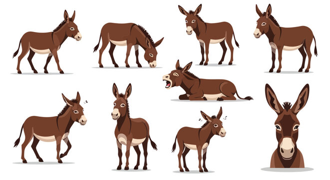 Brown Donkey Various Poses Illustration.