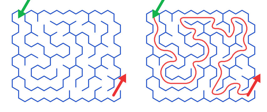 Maze Hex 8X8 01 | Printable Puzzle with Solution
