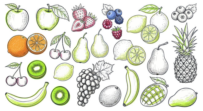 Variety of Fresh Fruit Types.