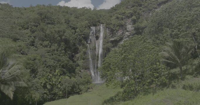 Cinematic aerial drone shot of epic tropical waterfall hidden in lush green jungle forest, misty waterfall in canyon, Bali, Indonesia, d-log b-roll.