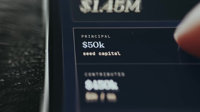 Seed capital value shown in USD currency format