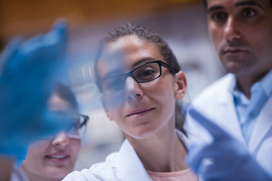 Middle Eastern doctors and medical technicians collaborating on blood testing in a clinical laboratory