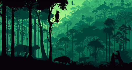 Fototapeta premium Amazon Rainforest Jungle Background with Layered Forest with animals