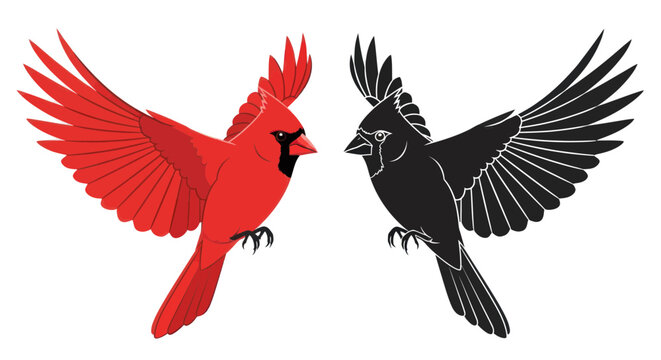 Red and Black Cardinal Birds Illustration.