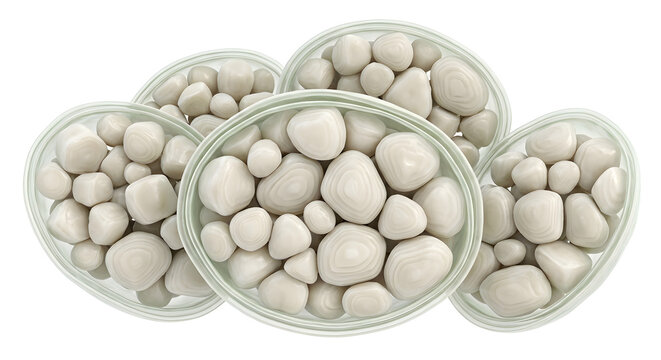 Highly Detailed Scientific 3D Render of Amyloplasts Filled with Starch Grains