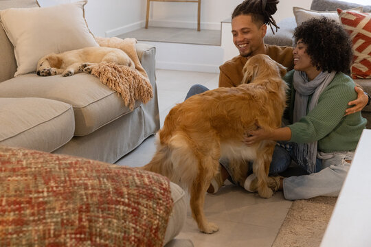 Couple wearing brown sweater sitting on home floor petting golden dog while puppy sleeping on sofa