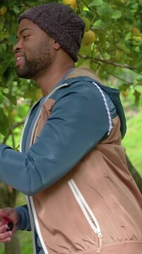 Vertical video: Spotting lemons, beanie man clipping with pruners in garden, offering wicker basket