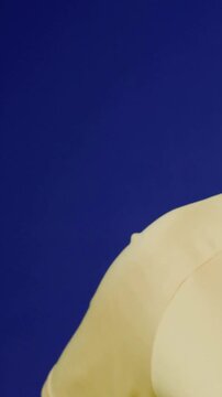Vertical video: Panning camera revealing woman posing for portrait on blue backdrop, yellow shirt