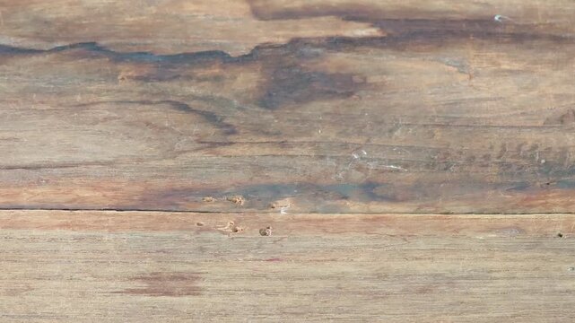 Wood grain surface, old teak wood, natural.