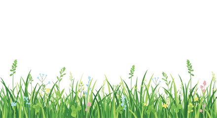 Obraz premium Vibrant green grass and colorful wildflowers growing against a clear white background, natural scenery