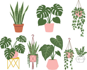 Modern houseplant illustration set featuring monstera, snake plant, and hanging planters in decorative home decor style © It's Marja