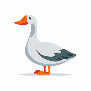 Cartoon Goose Illustration