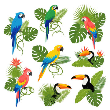 Vibrant Macaws and Toucans with Tropical Leaves