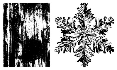 Fototapeta premium Rugged woodgrain texture sits beside a detailed ice crystal, often called a frost flower or winter star. This gritty stencil style features high contrast black and white elements.