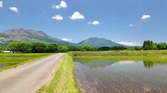 南阿蘇村のカルデラに広がる田んぼ