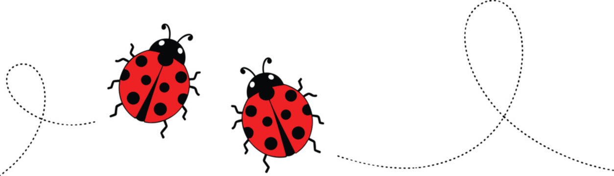 Cute Ladybug Cartoon Collection with Dotted Flight Path and Flying Insect Vector Illustration