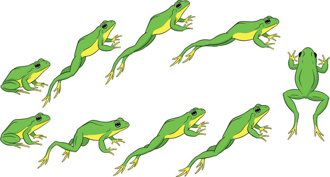 Green Tree Frog Character Collection with Jumping Amphibian Poses Wildlife Vector Illustration Set
