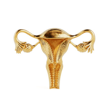 Reproductive Health And Female Anatomy. Golden Uterus With Ovaries And Fallopian Tubes For Gynecology And Fertility. 3D Rendering