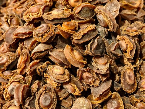 Close-up top view of a large pile of dried abalones background
