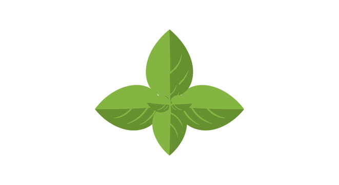 Vibrant Green Basil Leaf Cluster Isolated Illustration.