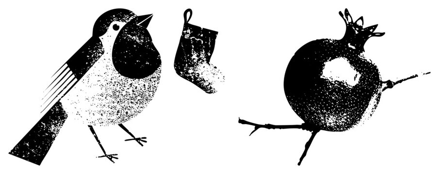 This textured black ink illustration features a little feathered songbird and a ripe pomegranate. A rustic garden finch rests near the heavy fruit, creating a gritty botanical scene.