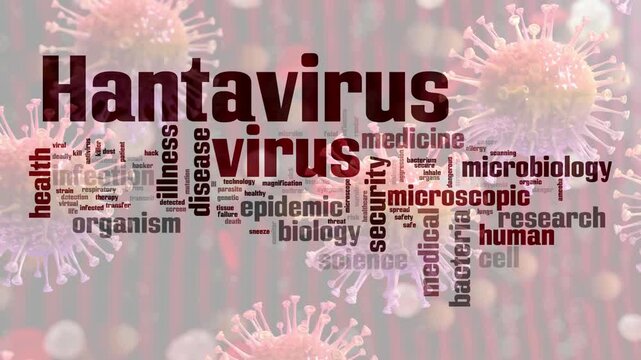 Medical word cloud typography focused on hantavirus infection, disease, and health research.