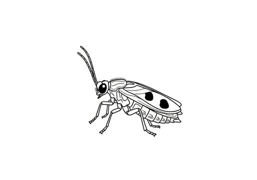 A detailed black and white illustration of a lanternfly perched on a branch. The lanternfly has large, iridescent wings and prominent eyes.