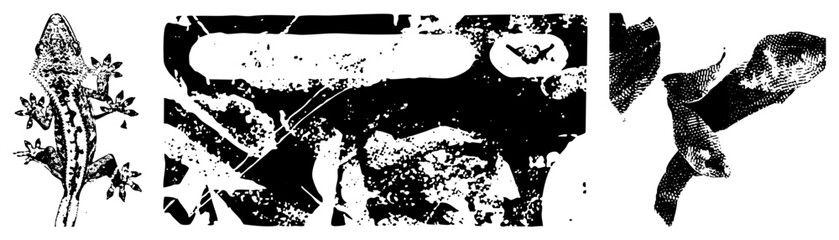 Obraz premium This gritty stencil gecko features rough textures and organic shapes. A wild lizard or small gecko crawler is depicted in a high contrast halftone style, perfect for edgy graphic projects.