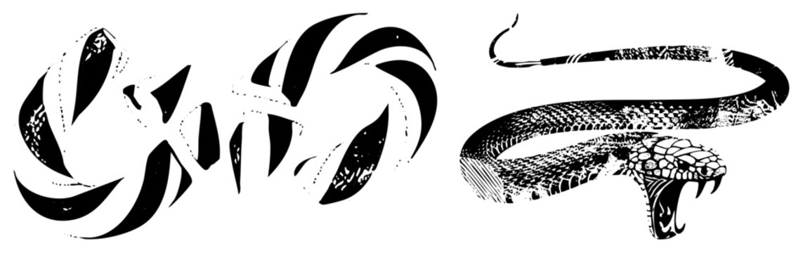 This striking graphic features a coiled and a jagged tribal piece. The menacing sidewinder and sharp claw like create a bold, high contrast visual impact.