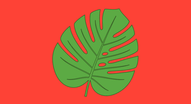 Vibrant green monstera leaf illustration on a bold red background, showcasing its iconic splits and holes.