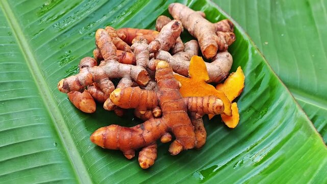 fresh turmeric