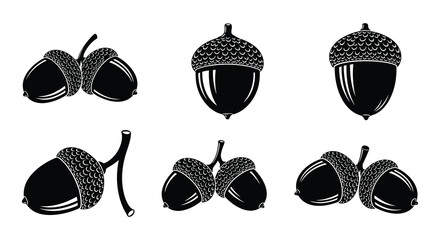 Acorns collection black vector silhouettes on white background © MdNirob
