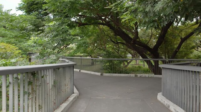 Elevated Walkway Through Lush Green Trees in Benchakitti Park Bangkok