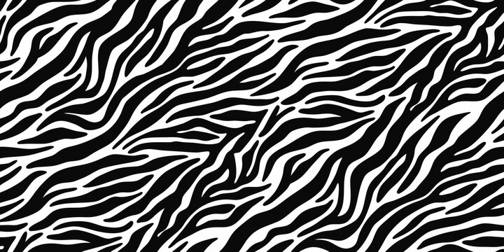 Seamless zebra stripes pattern black and white animal print with organic shapes
